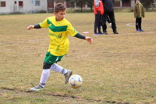 9游游戏官网-中超冠军梦碎后，蓉城要在亚洲赛场重塑信心，中甲成都蓉城今天比赛结果